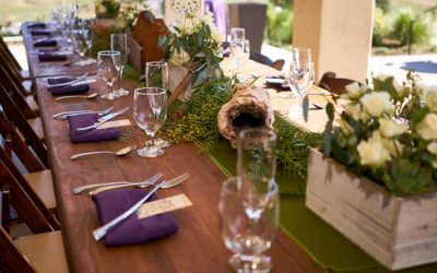 A Special Evening at the Vineyard — Wine Tasting & Dinner with Sprouting Collective