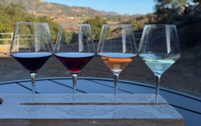 What to Expect at a San Diego Winery Tasting